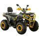 Квадроцикл SP200-5 SPARK 228880 фото 1