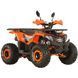 Квадроцикл SP125-8 Spark 203619 фото 3
