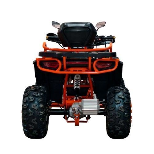 Електроквадроцикл Spark Hornet 3000w 251282 фото