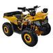 Электроквадроцикл Spark Junior 1000w 251274 фото 3