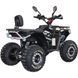 Квадроцикл Spark APEX 150 255618 фото 10