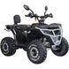 Квадроцикл Spark APEX 150 255618 фото 1