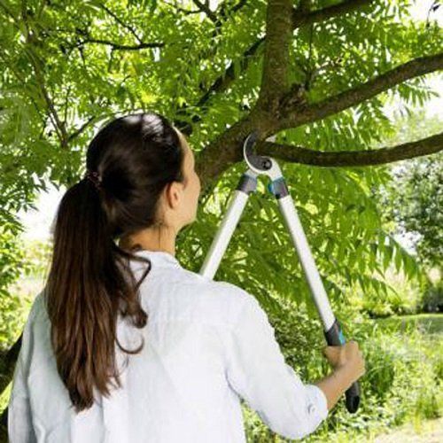 Гілкоріз із ковадлом Gardena EasyCut 680A 12004-20.000.00 фото