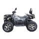 Квадроцикл Spark APEX 250SE 253849 фото 6