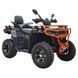 Квадроцикл Spark GRAND 200SE 253843 фото 2