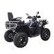 Квадроцикл Spark GRAND 250SE 253847 фото 8