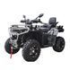 Квадроцикл Spark GRAND 250SE 253847 фото 4