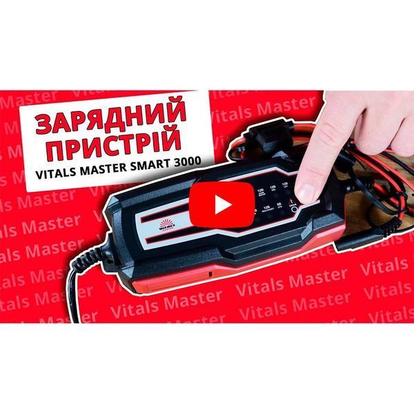 Зарядний пристрій Vitals Master Smart 3000 182531 фото