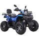 Квадроцикл SP200-10Е SPARK 231202 фото 2