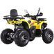 Квадроцикл SP200-10Е SPARK 231202 фото 4