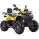 Квадроцикл SP200-10Е SPARK 231202 фото 1