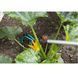 Ручка телескопическая GARDENA Combisystem 90-145 см алюминиевая 03719-20.000.00 фото 5