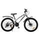 Велосипед SPARK SURF (колеса - 24", стальная рама - 11") серый 239213 фото 1