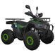Квадроцикл SP125-12 SPARK 234123 фото 2