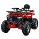 Квадроцикл SP125-15 SPARK 234199 фото 2