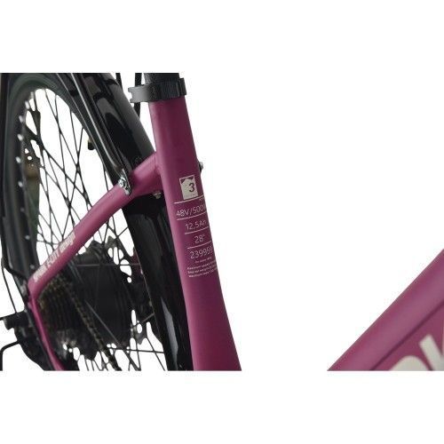 Велосипед с электромотором SPARK E-CITY EASY WAY 18" 48V/500W/12,5Ah фиолетовый матовый 239959 фото