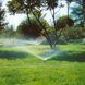 Висувний дощувач Gardena S80 01569-29.000.00 фото 3